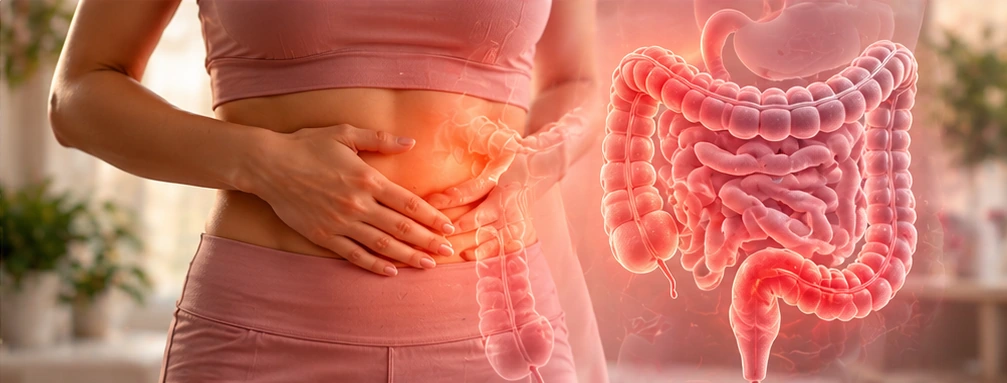 Ilustração do tema Intestino e digestão